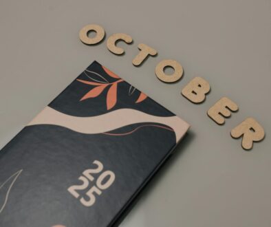 pexels-bertellifotografia-29509424