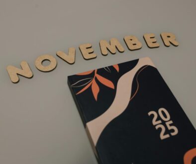 pexels-bertellifotografia-29509425