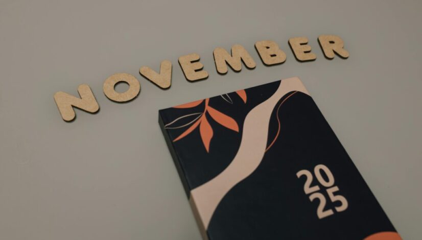 pexels-bertellifotografia-29509425